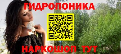гидра Боровичи